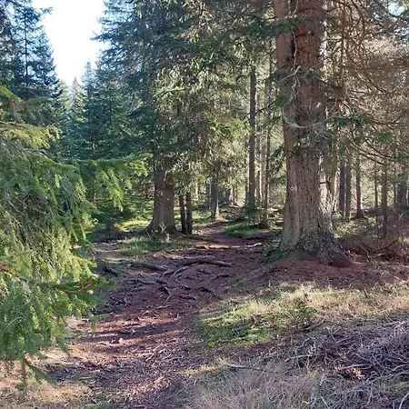 Chalet Of Rising Sun Goreljek