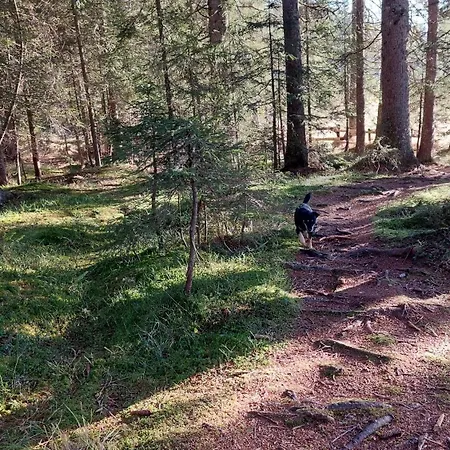 Of Rising Sun Goreljek