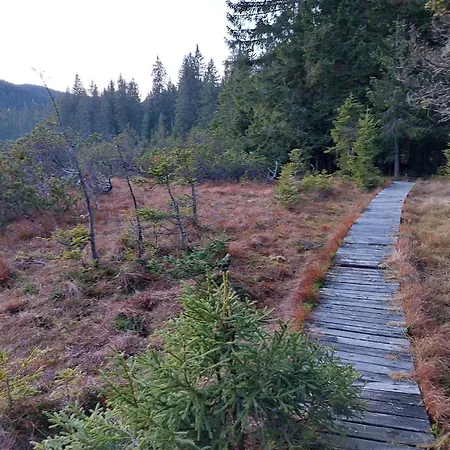 Of Rising Sun בקתה *