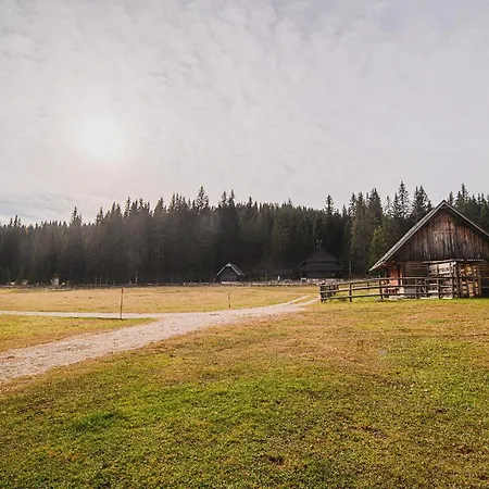 Of Rising Sun Goreljek