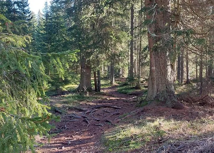 Chalet Of Rising Sun Goreljek