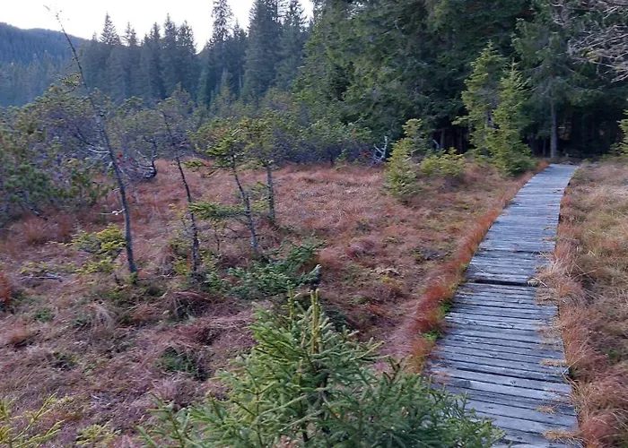 Of Rising Sun Chalet *