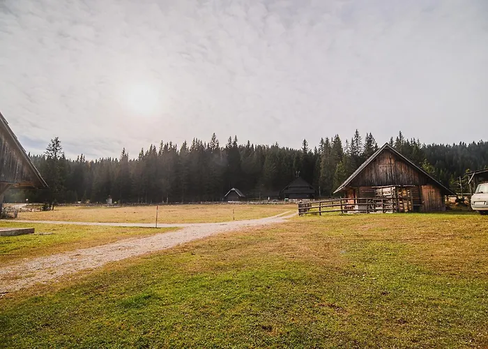 Of Rising Sun Goreljek