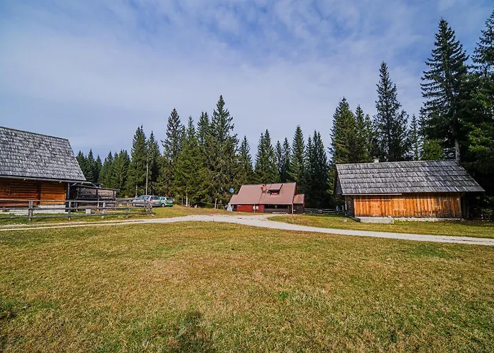 Of Rising Sun Goreljek